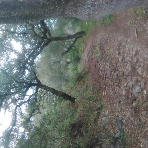 Foto extra 1
