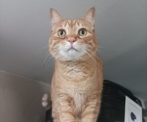 Juan