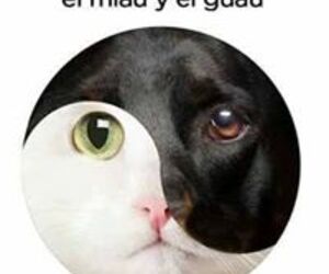 Bea Flores
