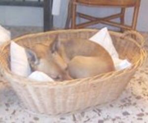 Lola Ubera Jim