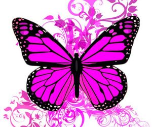 Evamacega