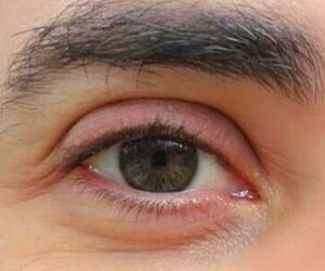 jose