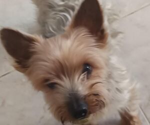 Carlos