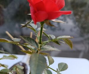 Foto de Ana en C&oacute;rdoba