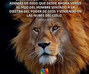 Johan