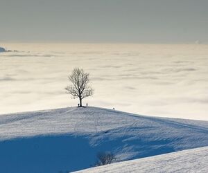 Foto de Jose Luis en C&oacute;rdoba
