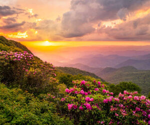 Foto de Autosuficiencia en C&oacute;rdoba