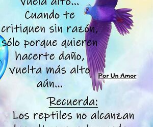 Toï¿½i carm