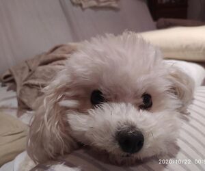 Esther