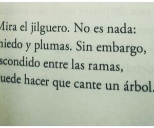 Andalusha