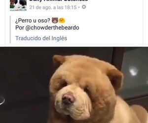 jose
