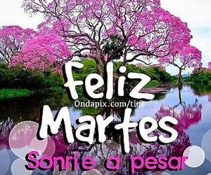 Naty