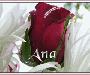 Ana