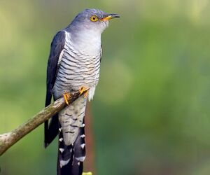 Foto de Miguel en C&oacute;rdoba