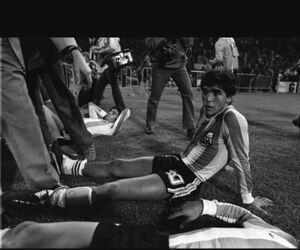 Diego maur