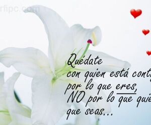 Charo