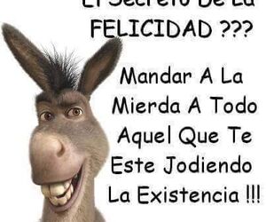 Loredana
