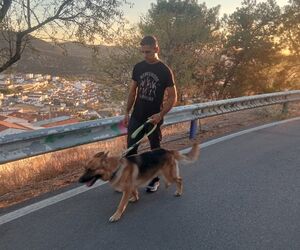 José