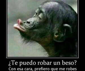 Ritchter Belmo