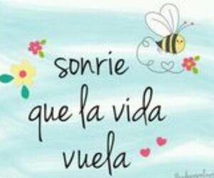 Ursulaylira343