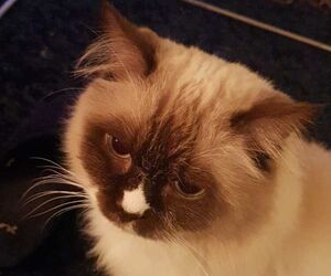 Barbra
