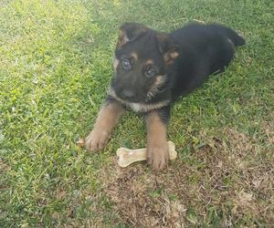 Paco