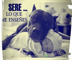 Josema