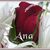 Ana