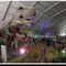 Visita Exposicion Dinosaurios. Tapear y Cerveza en el Parque Figueroa.