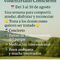 Te invitamos a unas Jornadas de Voluntariado Consciente
