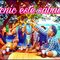 Picnic fase 1