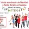 VISITA ALUMBRADO NAVIDAD EN MALAGA   FIESTA SINGLE
