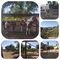 Dí­a de campo con nuestros hijos. Cama elástica.  Castillo hinchable y paseo en pony o caballo.