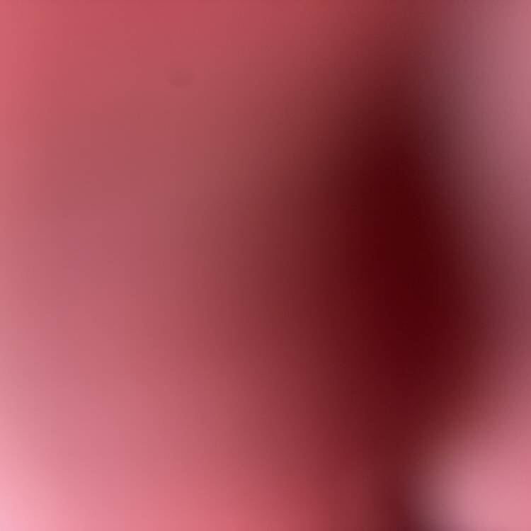 Foto de perfil de Jose