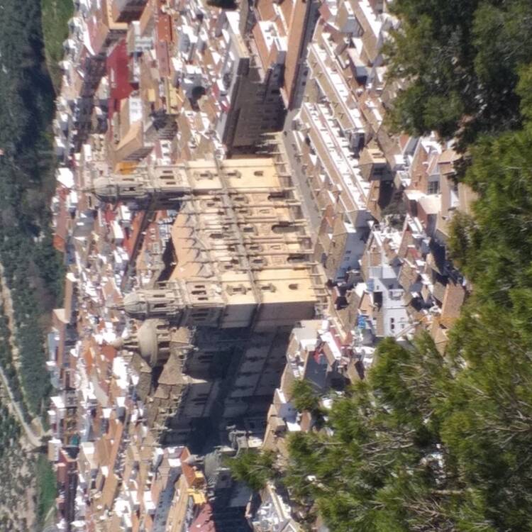 Foto de perfil de Amaral