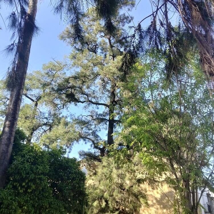 Foto de perfil de María