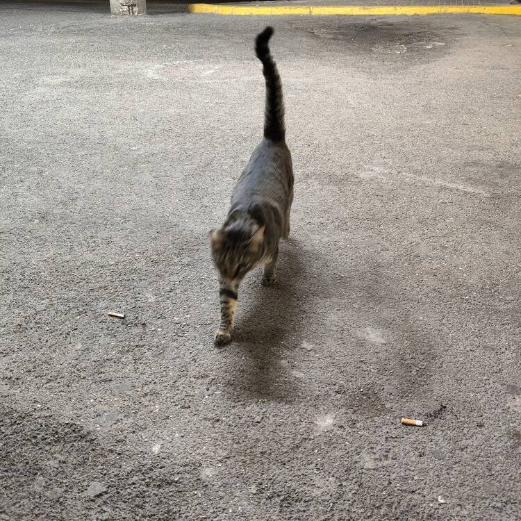 Foto de perfil de Cristina