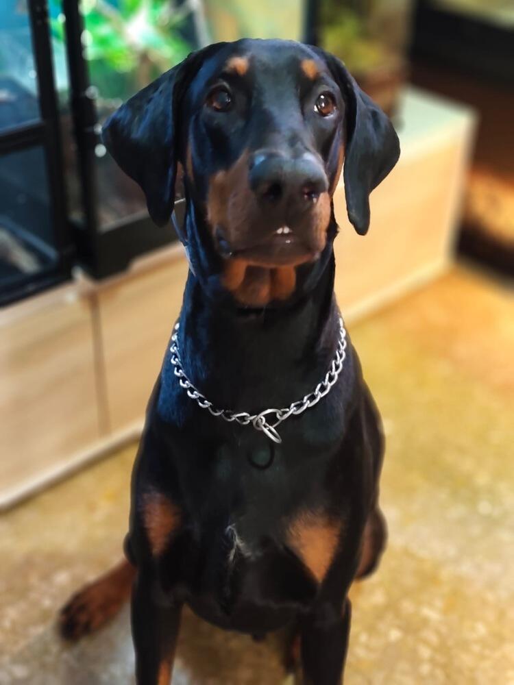 Foto de perfil de Xxx