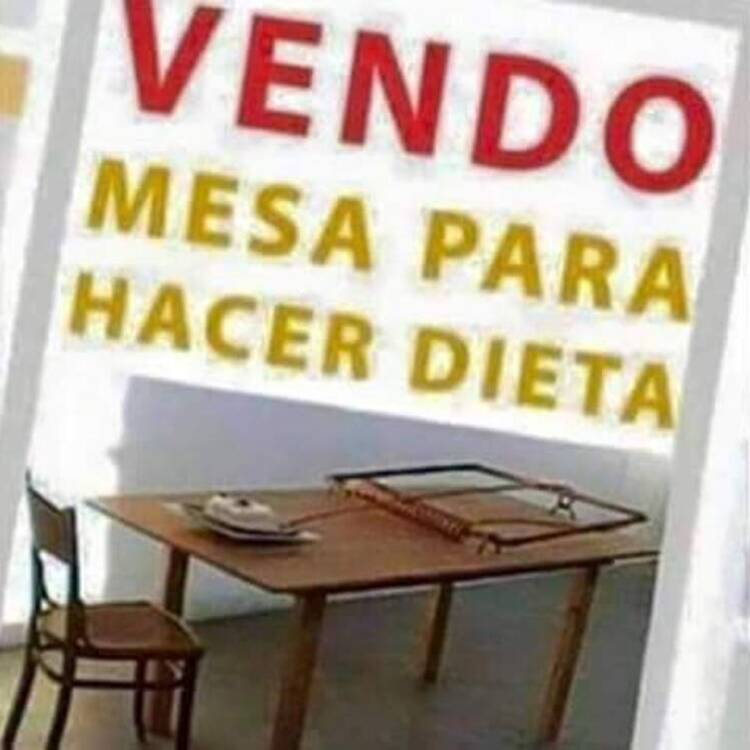 Foto de perfil de Adán